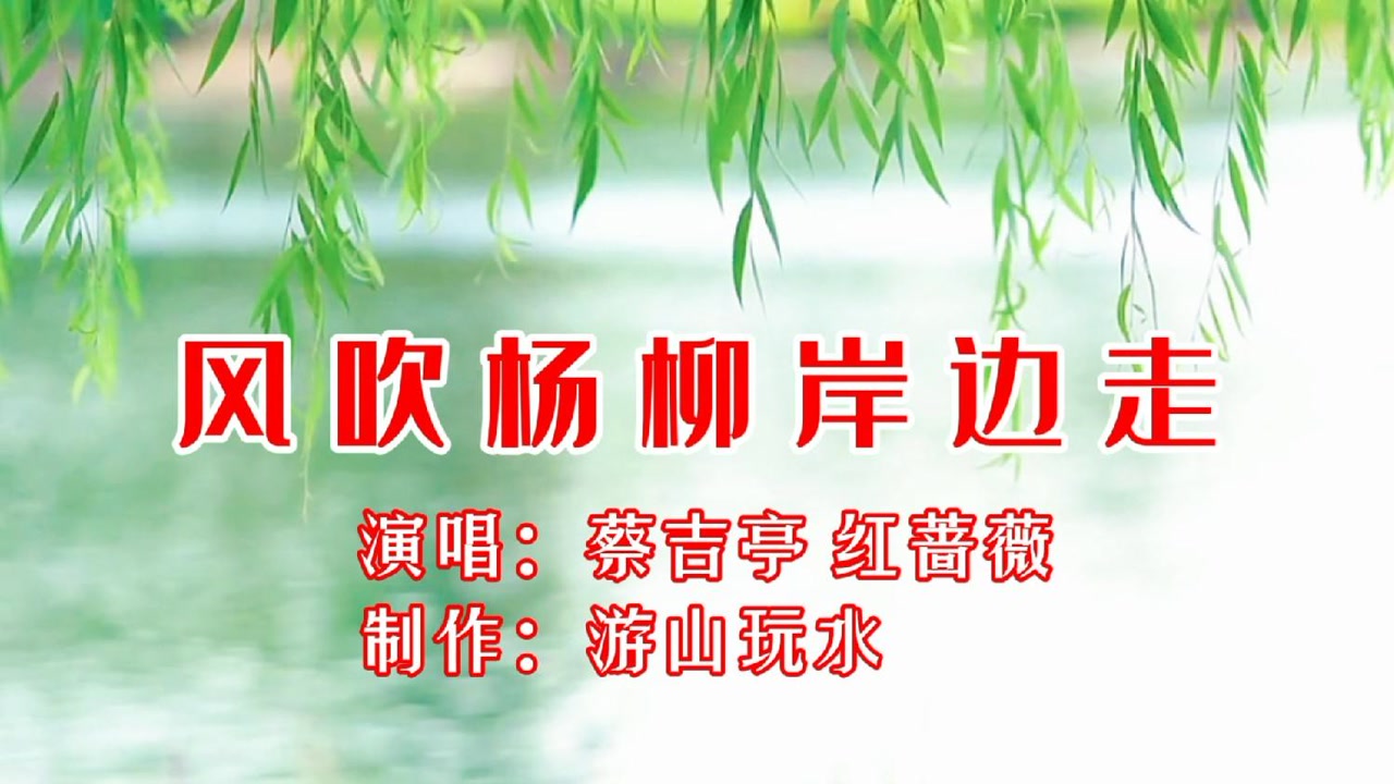 一首对唱情歌《风吹杨柳岸边走》歌声柔情似水,旋律优美动听!