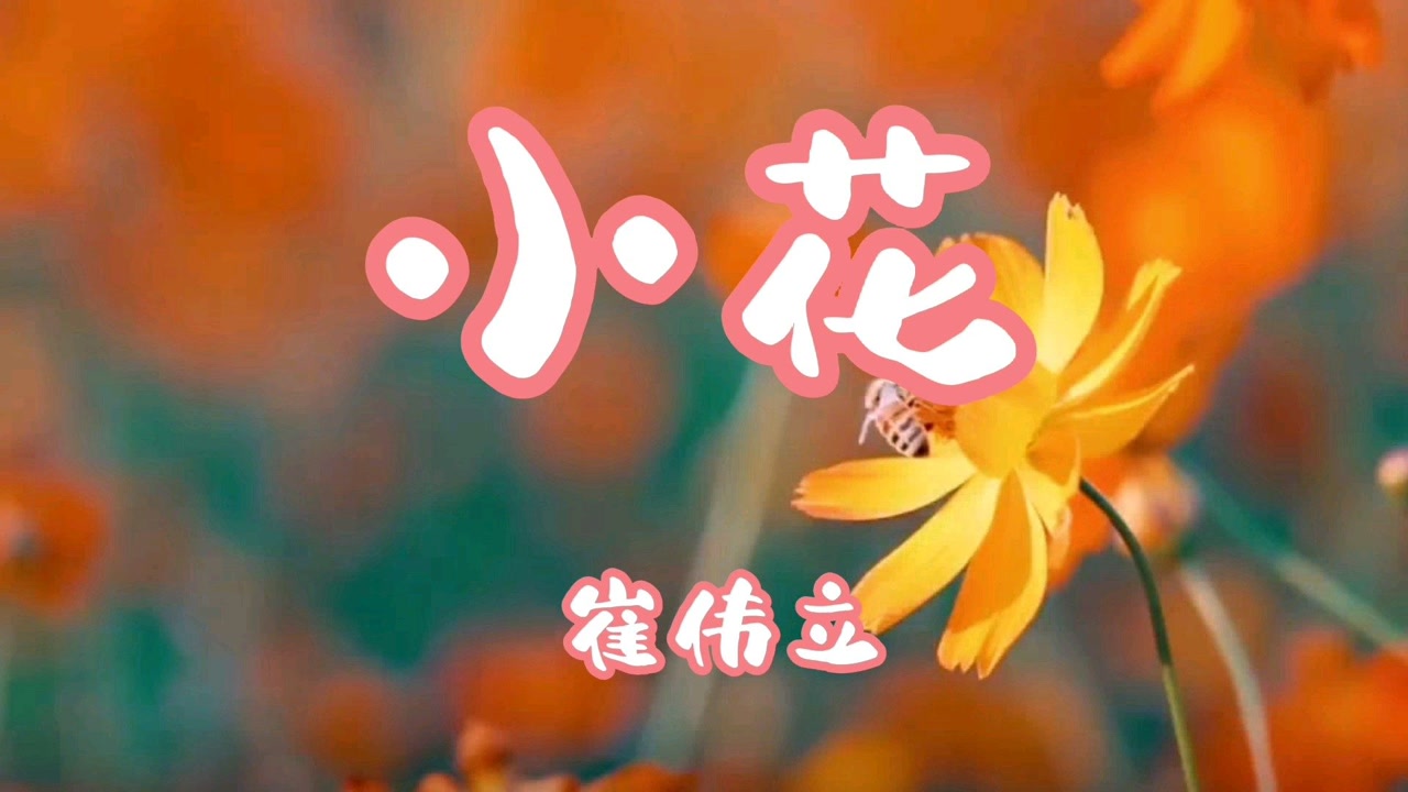 崔伟立演唱《小花》我把思念偷偷的种下,种在心里生根发芽,唱出了思念