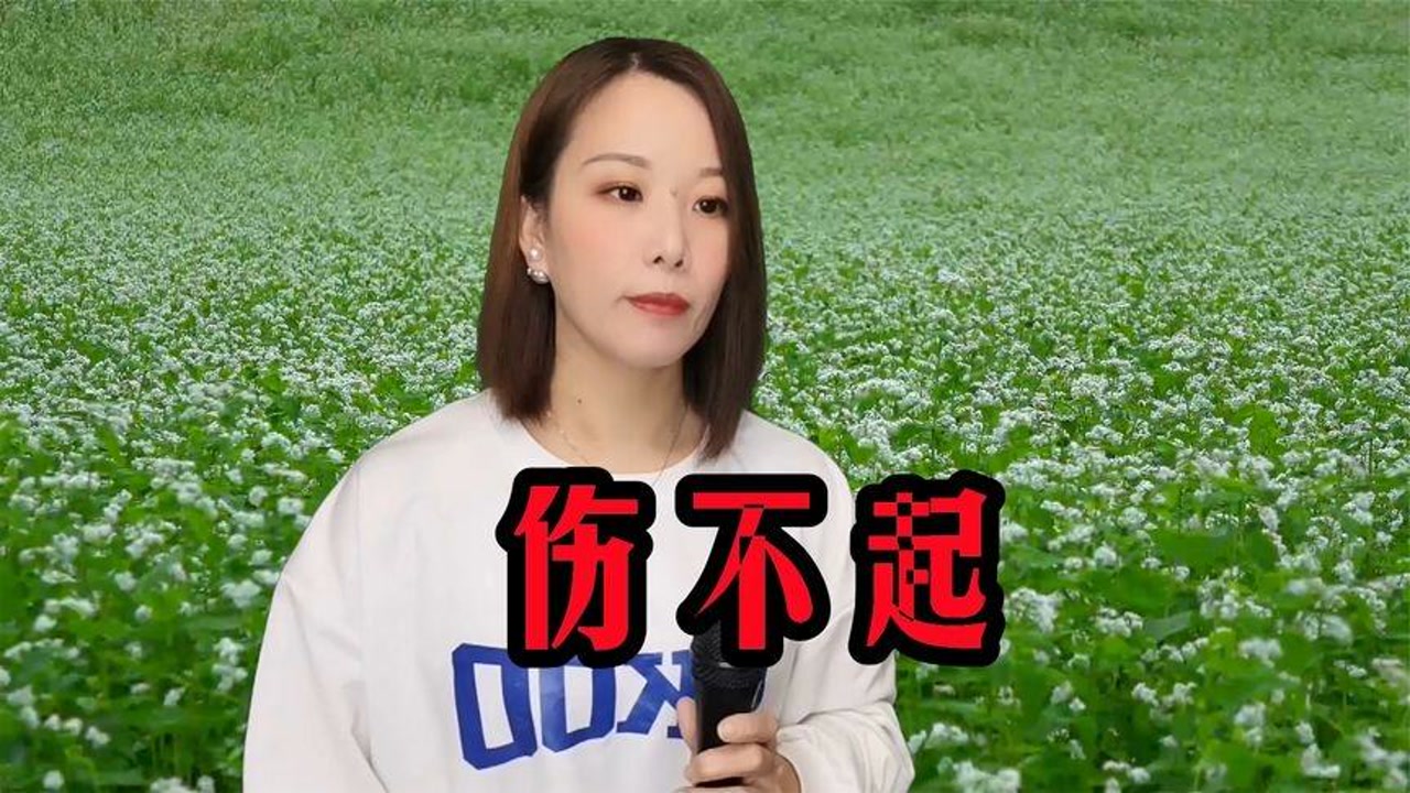 一首经典神曲《伤不起》,动感旋律,句句好听!