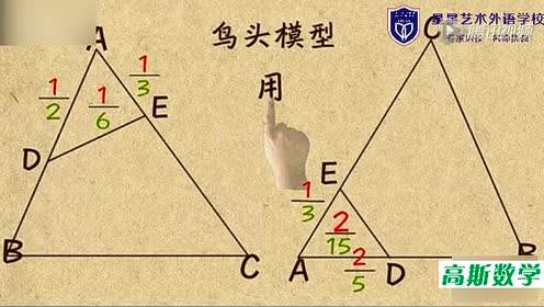 小学五年级奥数:鸟头模型
