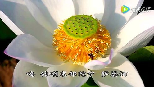 腾讯视频
