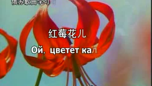 腾讯视频