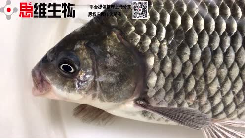 腾讯视频