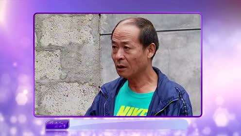 百家碎戏桃花村的故事预告