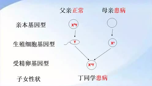 常染色体显性遗传 腾讯视频