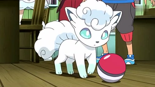 神奇宝贝,白色六尾就这样被收服,自己跑进去精灵球,小智很开心