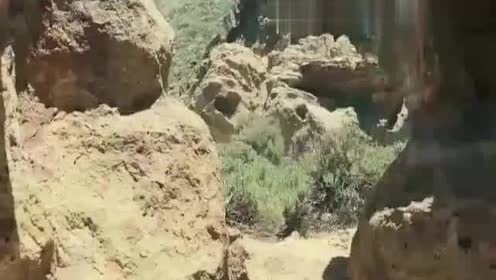 长蛇怪物 腾讯视频