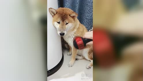腾讯视频