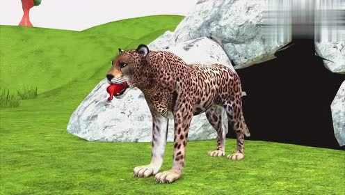 益智动画学习英语 3d小恐龙用美食引诱猎豹出洞穴