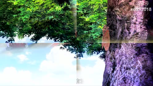 腾讯视频