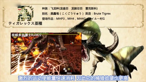 黑轰龙 腾讯视频