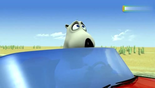 倒霉熊开车喝水结果悲剧了