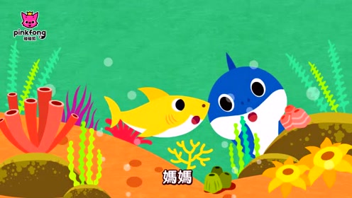 碰碰狐儿歌:鲨鱼爸爸在哪里  鲨鱼宝宝之人气儿歌