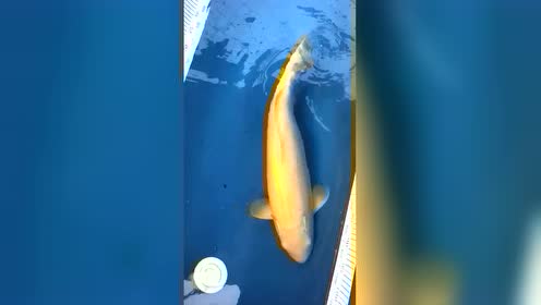 腾讯视频