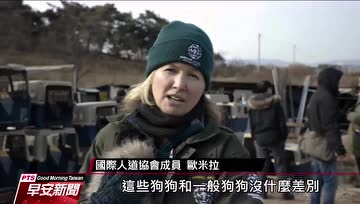 韩国反对吃狗肉的声浪越来越高