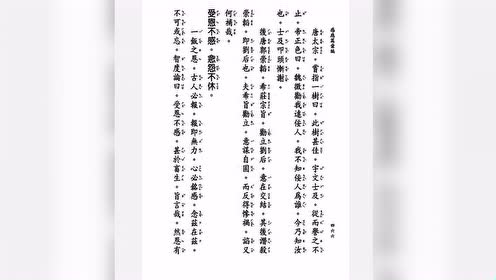 希旨 腾讯视频