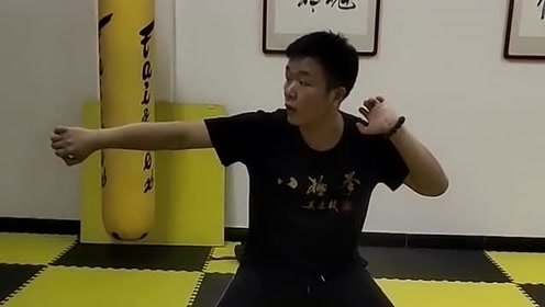 八极拳里门顶肘 腾讯视频