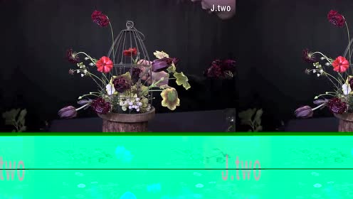 鸟笼花 腾讯视频