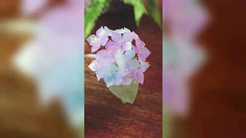 花簪hanakanzashi 腾讯视频