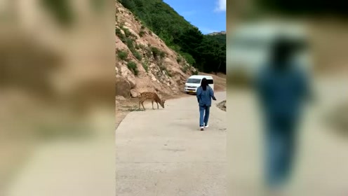 腾讯视频