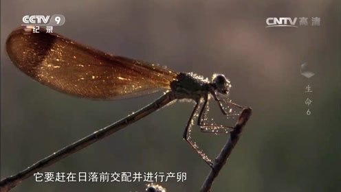 腾讯视频