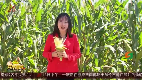 腾讯视频