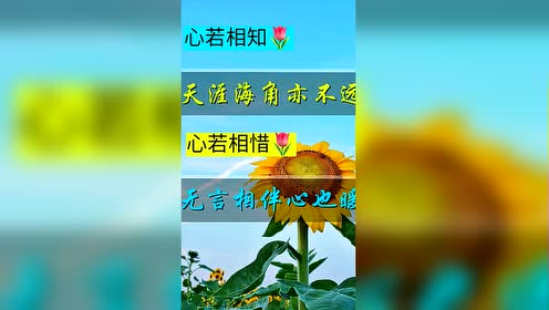 最美好的祝福,送给屏幕前的你