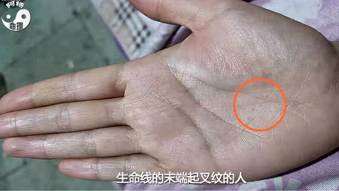 双生命线 腾讯视频