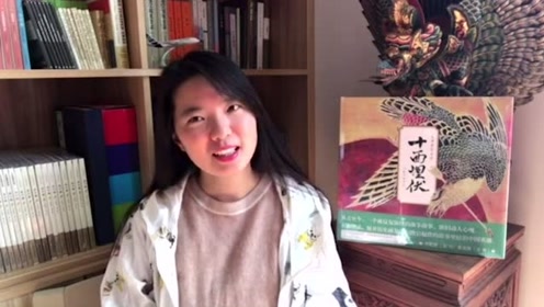 2020中国绘本展  第28集 《十面埋伏》于虹呈