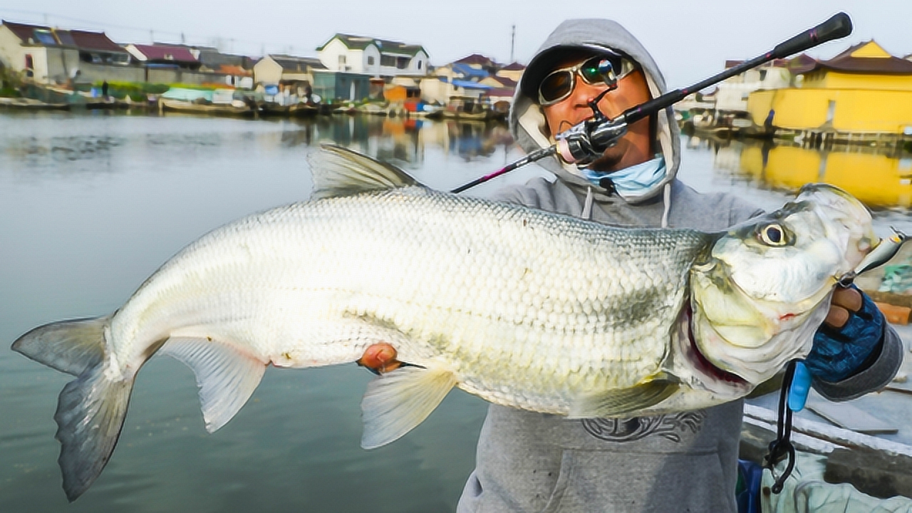 蓝旗鱼路亚 | 银鳞撩骚大翘嘴