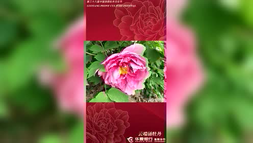 腾讯视频