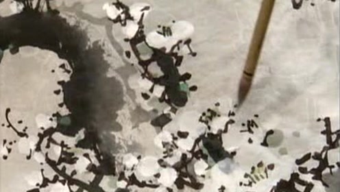 红梅白梅 腾讯视频