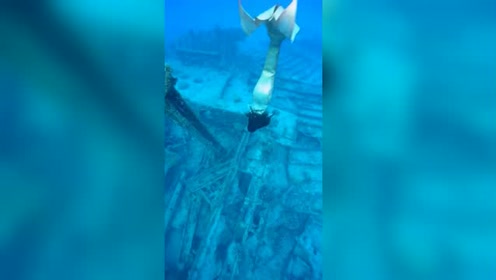 腾讯视频