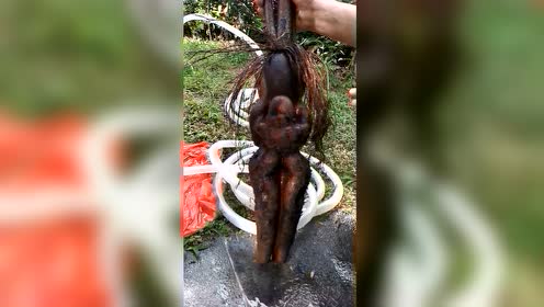人形自走表情包 腾讯视频