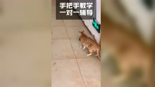 腾讯视频