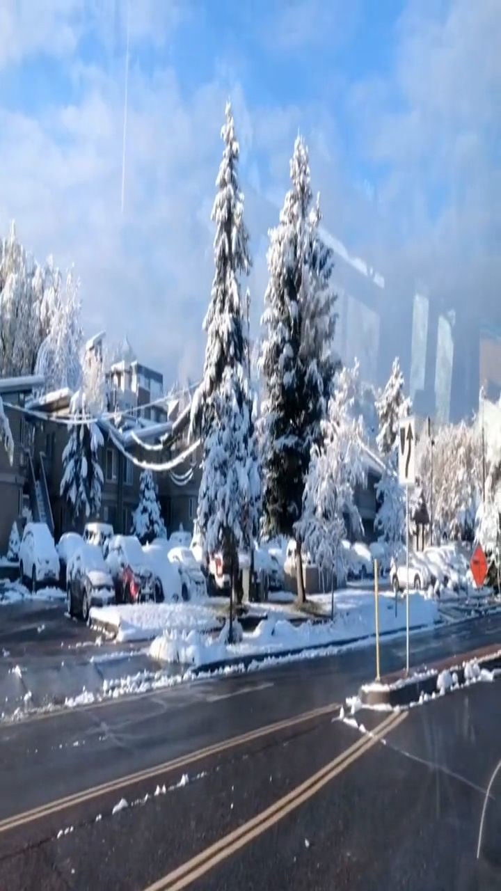 这个冬天很冷,我会多穿衣服,不会让别人抱我的