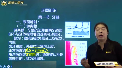 [图]口腔医师知识考点讲解之口腔组织病理学——口腔组织01——牙龈