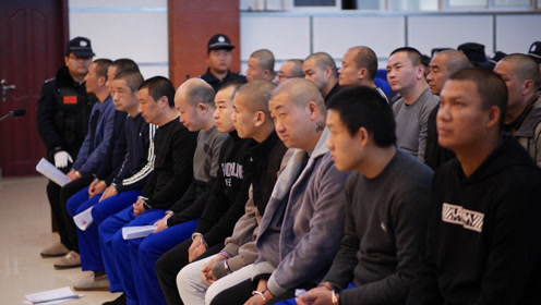 大理两级法院扫黑除恶专项斗争审判纪实(八)