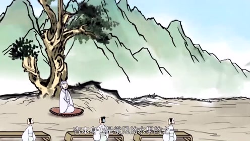 李子树生病 腾讯视频