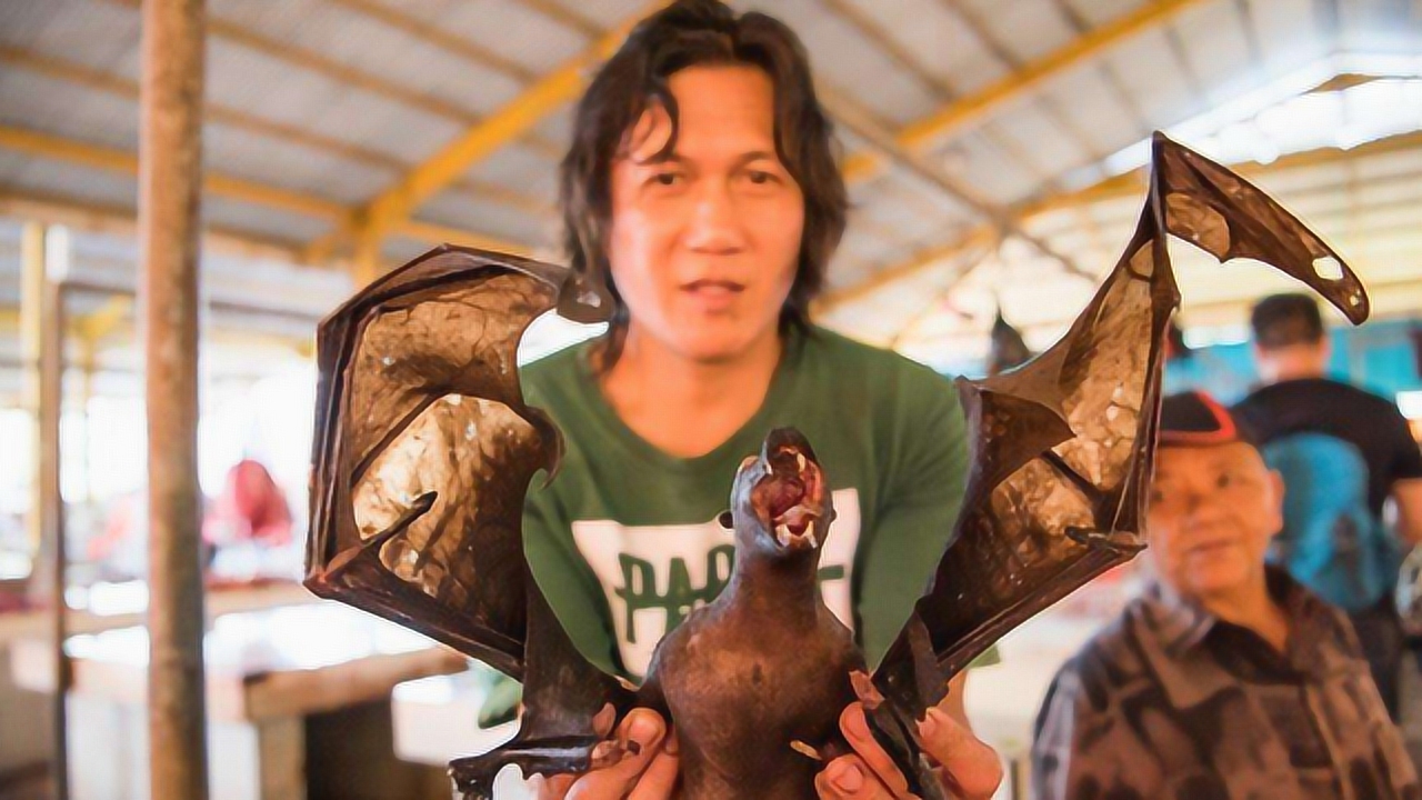 丝毫不当回事,印尼市场蝙蝠肉依旧供不应求,最多一天可卖600只