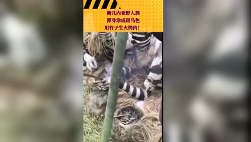 新几内亚岛 腾讯视频