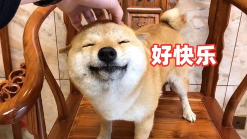 腾讯视频