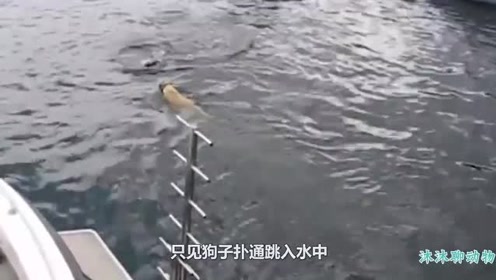 水中突然浮出一 腾讯视频