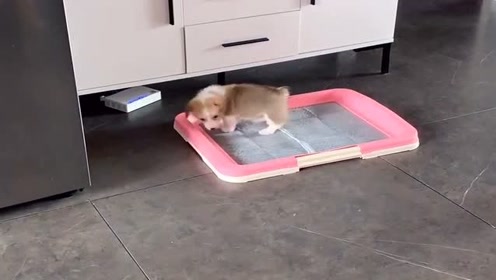 腾讯视频