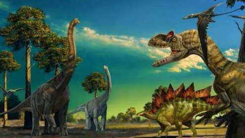 0:01:37三叠纪晚期,恐龙出现时 间:2020-10-06上传者:大自然物语纪录