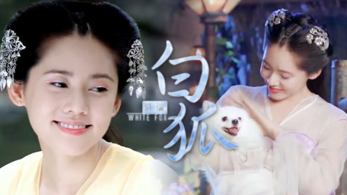 陈瑞的歌曲《白狐》配上秋瓷炫主演的《狐仙》,歌美人更美,太搭了