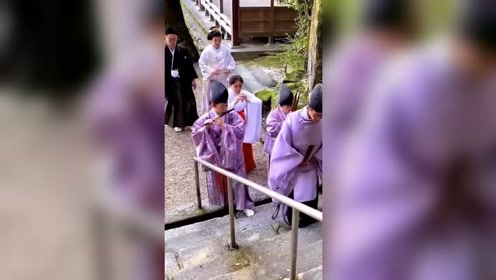 神前式 腾讯视频