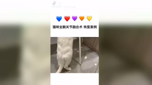 腾讯视频