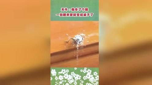 腾讯视频