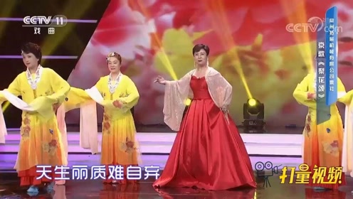 小天才梨花颂 腾讯视频